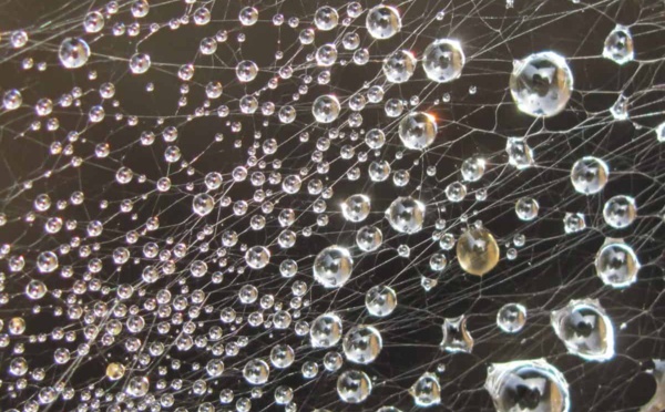 L'UE en marche vers le premier régime cybernétique ? Une introduction