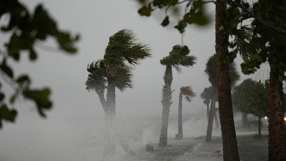 El Niño : les experts s'attendent à une saison des ouragans "au-dessus de la moyenne" cette année