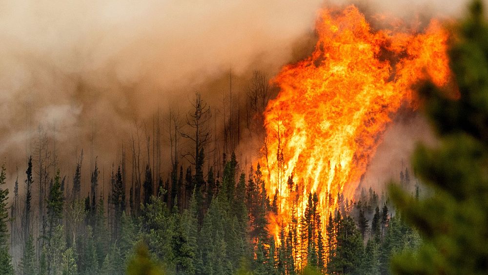 Les tempêtes provoquent des incendies de forêt record au Canada alors que la Colombie-Britannique brûle