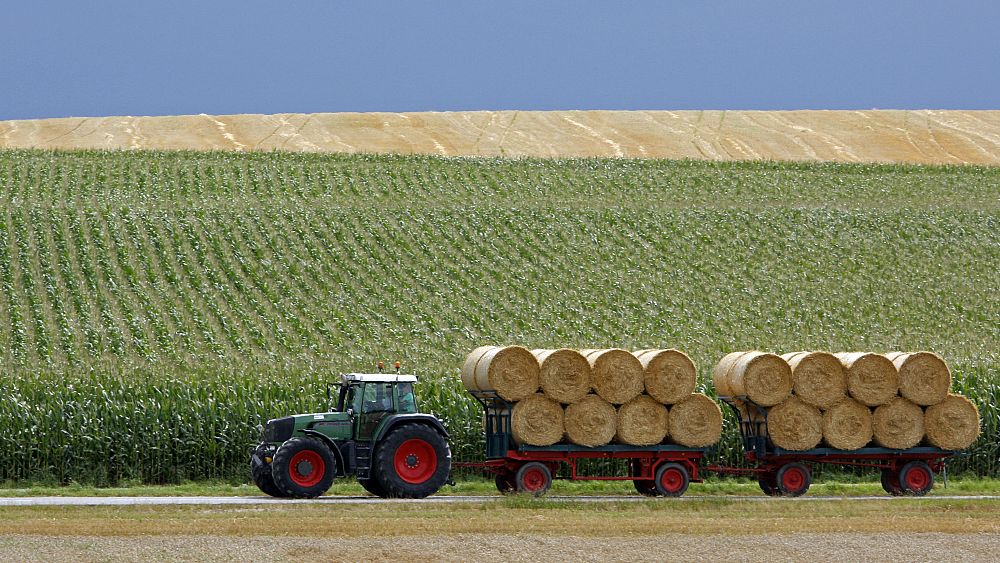 Bruxelles veut assouplir les règles pour les cultures génétiquement modifiées