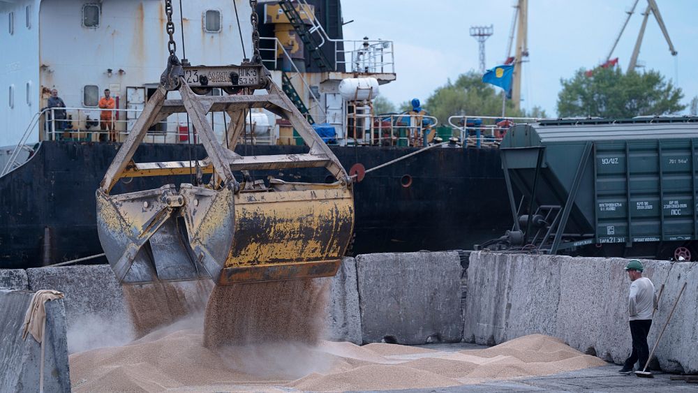 L'UE déclare que la décision de la Russie de suspendre l'accord sur les céréales de la mer Noire est "totalement injustifiée"