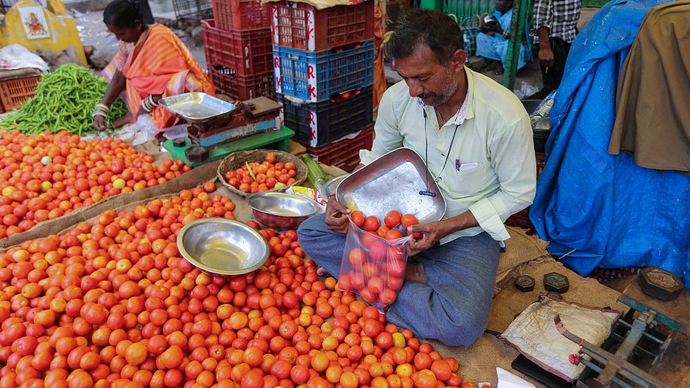Le prix des tomates grimpe de 400 % en Inde alors que les vagues de chaleur et les inondations frappent les cultures