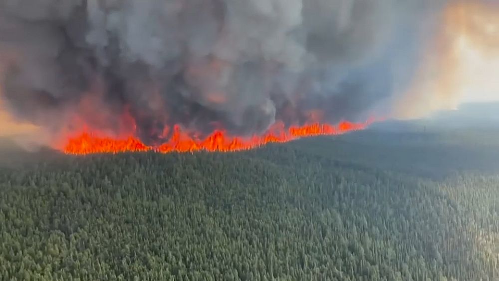 Les incendies de forêt augmentent en nombre et en intensité dans le monde