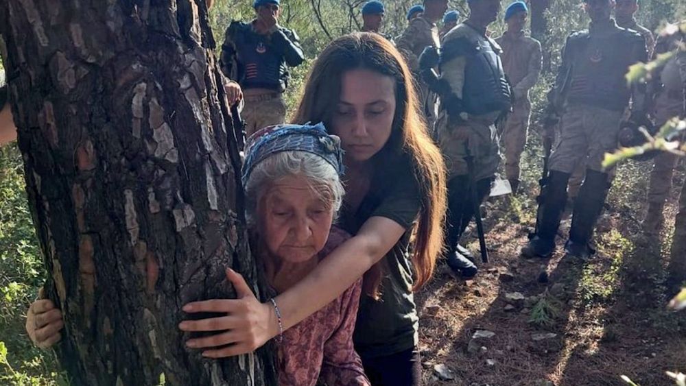 "Nous n'abandonnerons pas": comment une forêt turque est devenue le site d'une résistance féroce aux mines de charbon