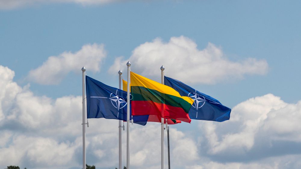 Ukraine, Suède et stratégie : de quoi sera-t-il question au sommet de l'OTAN à Vilnius ?