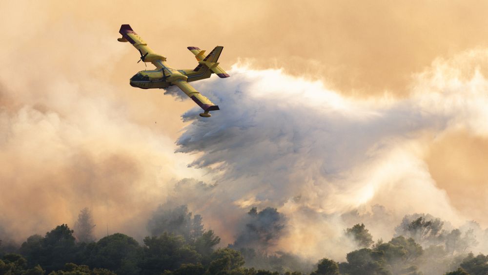Prévention des incendies de forêt : comment l'Europe prévoit de gérer les incendies dans les années à venir