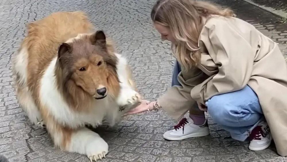 Il est réel : rencontrez Toco, l'homme devenu viral pour sa première promenade en tant que "chien humain"