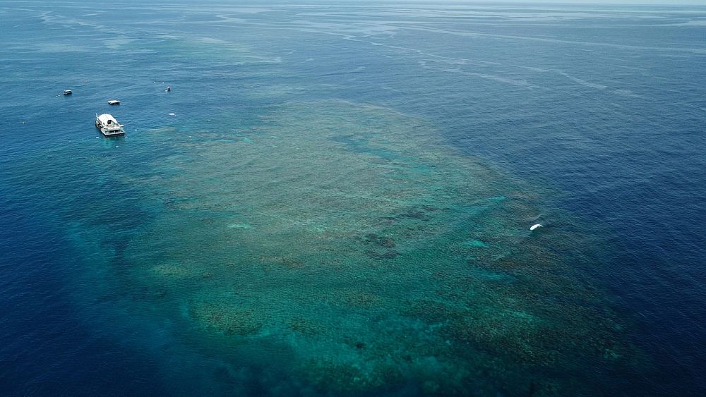 La Grande Barrière de Corail évite une menace "en danger", mais l'UNESCO met en garde contre un risque sérieux lié au changement climatique