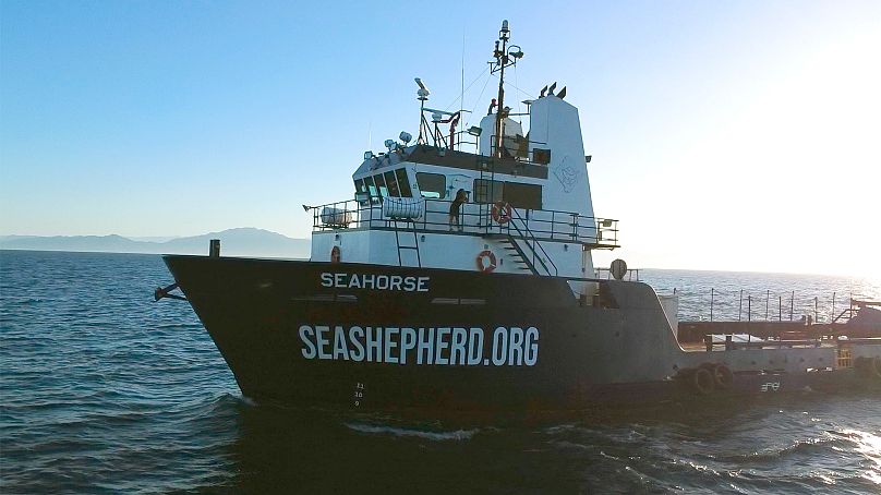 Société de conservation de Sea Shepherd