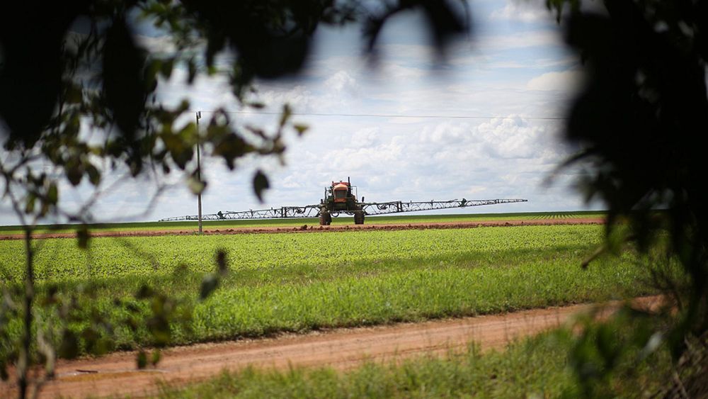 Belgique, France, Allemagne : les géants des pesticides exportent des produits chimiques interdits via les failles européennes
