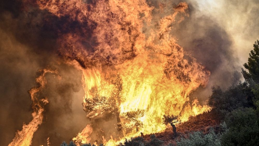 18 corps retrouvés dans la forêt grecque alors que les incendies de forêt ravagent le nord du pays