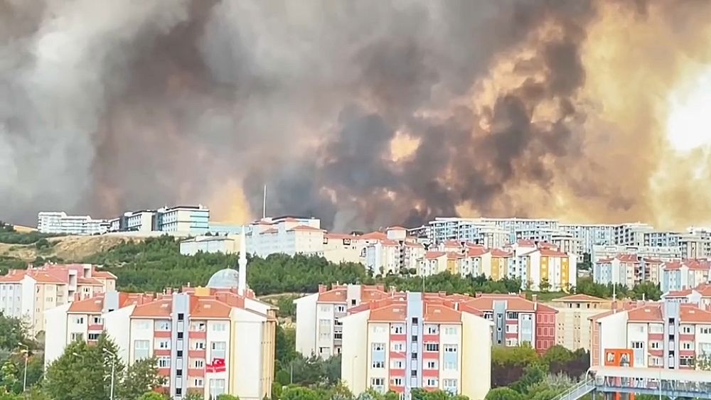 Ankara évacue plus de 1 200 personnes alors que les incendies de forêt en Grèce se propagent à la Turquie