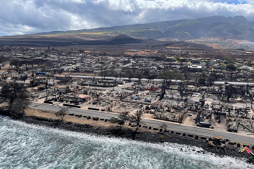 Département des terres et des ressources naturelles d'Hawaï/Handout via REUTERS