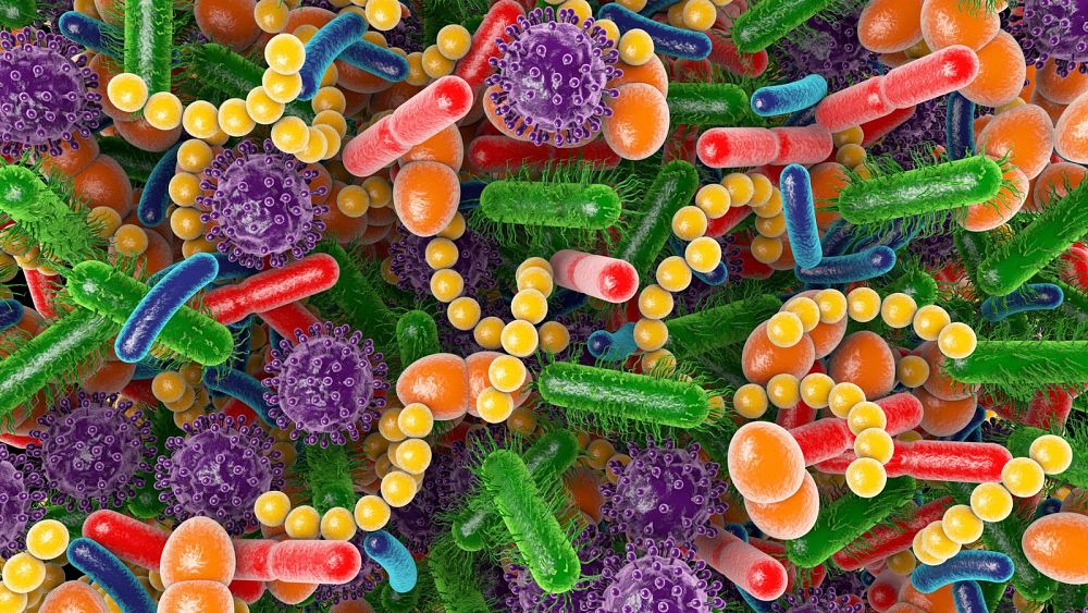 Les scientifiques pensent avoir trouvé un lien entre les bactéries dans notre intestin et la vitesse à laquelle nous vieillissons