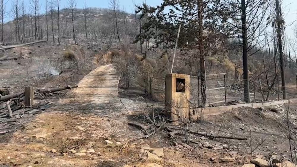 « Ma maison a été entièrement brûlée » : des villageois grecs rentrent chez eux et constatent les dégâts causés par les incendies de forêt