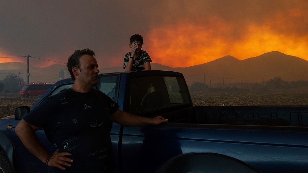 Plus de 600 pompiers appelés pour lutter contre les incendies de forêt en Grèce