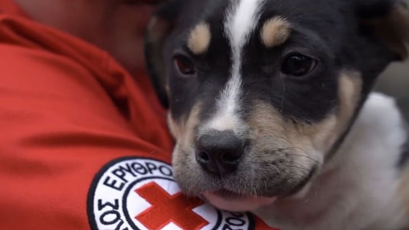 Croix-Rouge hellénique (CRH)