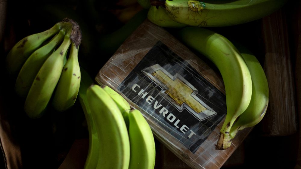 Une récolte record de cocaïne cachée dans une cargaison de bananes équatoriennes interceptée en Espagne