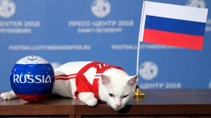 Dmitri Lovetski / AP