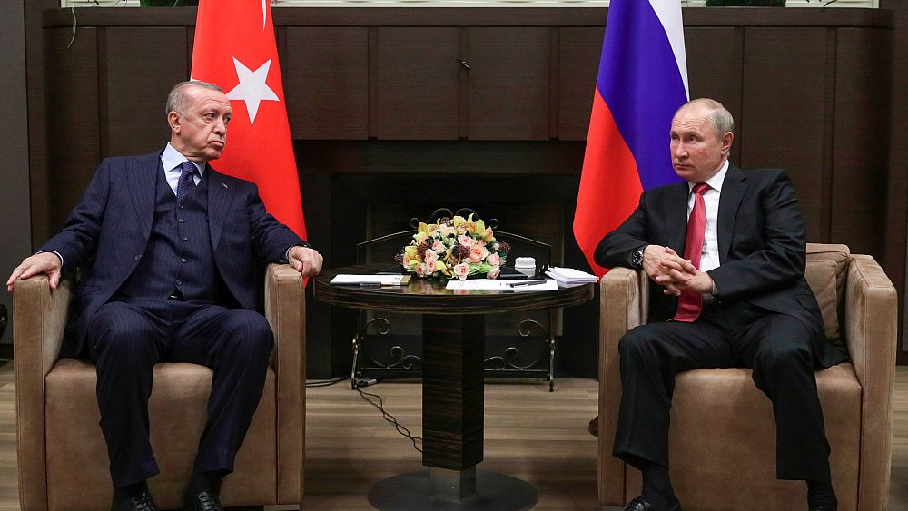 Guerre d'Ukraine : Poutine s'apprête à rencontrer Erdogan lors de négociations céréalières en mer Noire alors que 22 drones russes sont abattus