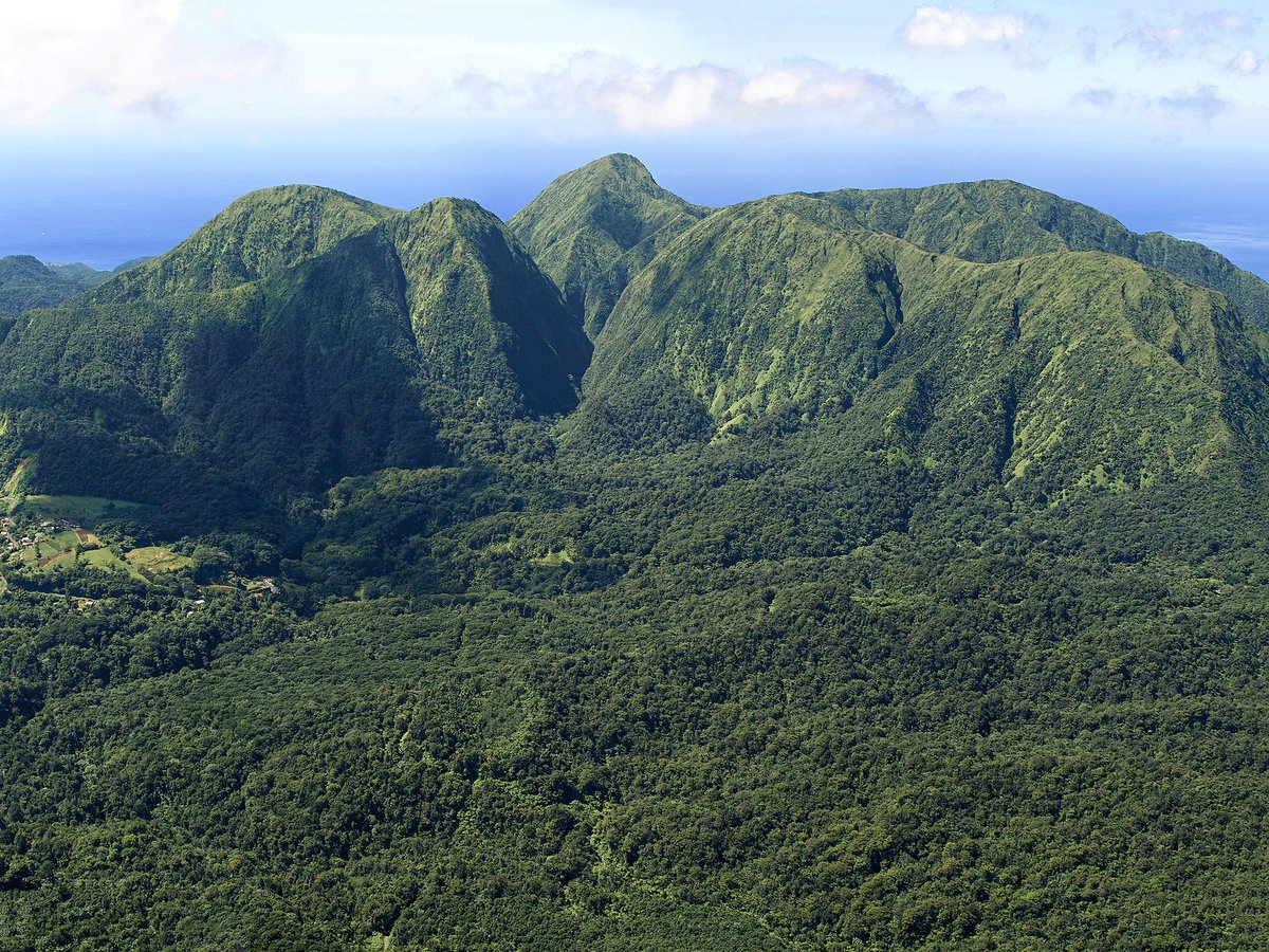 Décision historique pour la Martinique !

Les volcans et forêts de la montagne Pelée et des pitons du nord entrent au patrimoine mondial de l'UNESCO.

Ce trésor de beauté et de biodiversité est désormais reconnu et mieux protégé.