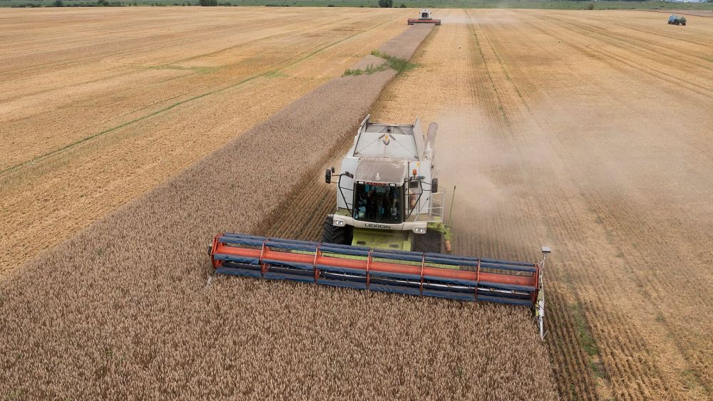 La Pologne refuse de lever l'embargo sur les céréales ukrainiennes, affirmant que cela nuirait aux agriculteurs