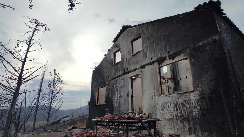 Les agriculteurs grecs peinent à se reconstruire après des incendies dévastateurs