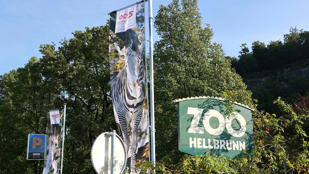 Un gardien de zoo piétiné à mort par un rhinocéros dans la ville autrichienne de Salzbourg