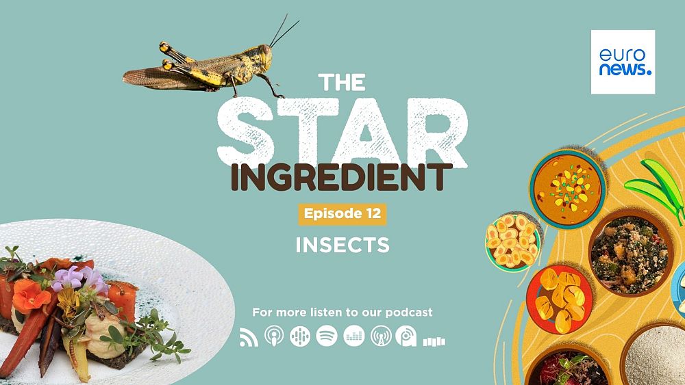 Podcast sur les ingrédients vedettes |  Les insectes comestibles, la nourriture du futur ?