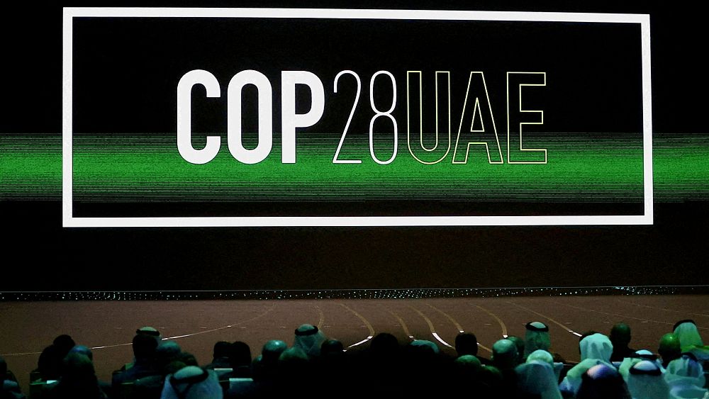 « J'ai besoin que vous travailliez ensemble » : le président controversé de la COP28 exhorte les pays à trouver un terrain d'entente