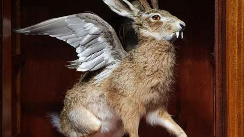 Version taxidermie du redoutable Wolpertinger