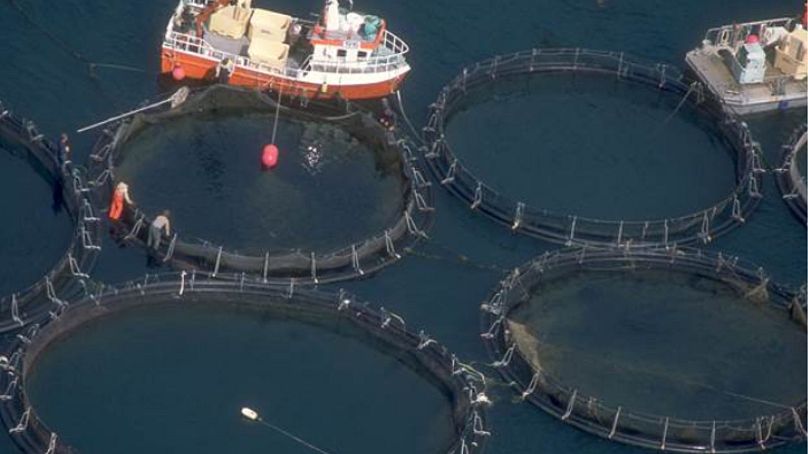 Rax - Gouvernement d'Islande