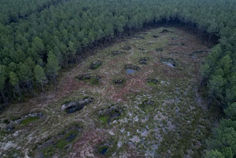 Une clairière avec des étangs dans la forêt domaniale de Moulière, près de Poitiers, dans l'ouest de la France.