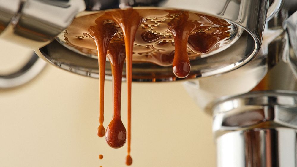 Le « café sans grains » à base de superaliments pourrait réduire les émissions et la consommation d'eau de 94 %