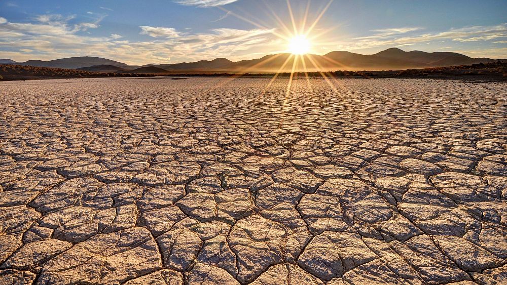 Le « triple coup dur » de la chaleur extrême pourrait rendre la Terre inhabitable pour les humains, révèlent les modèles climatiques