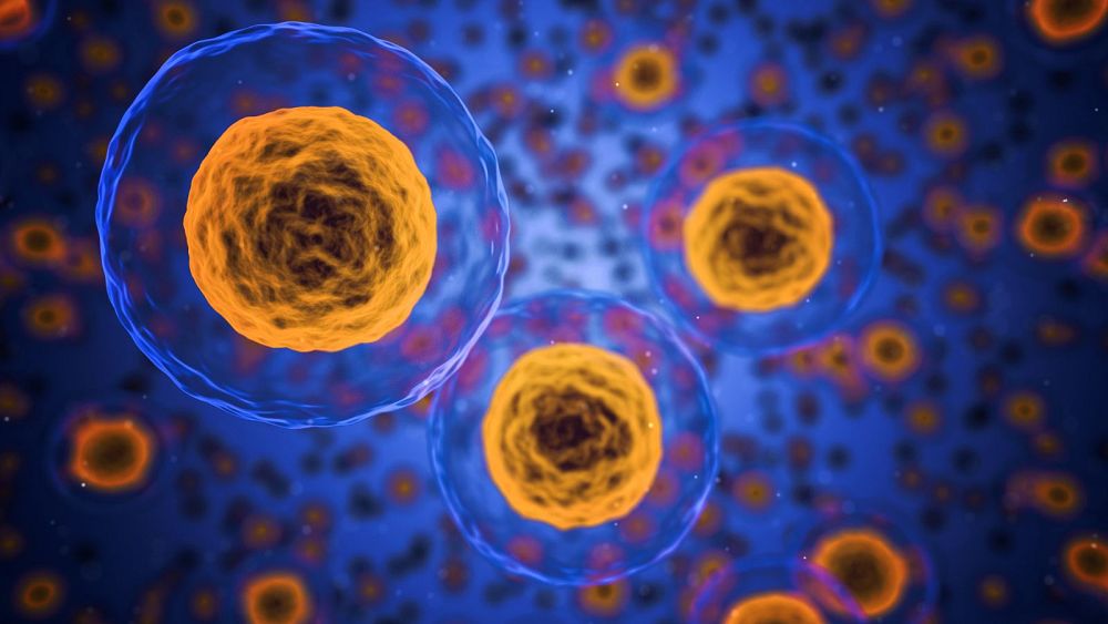 Une nouvelle thérapie anticancéreuse utilisant des anticorps pourrait offrir une option de traitement moins toxique, selon une étude