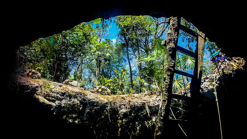 Plongez dans les cénotes du Mexique.