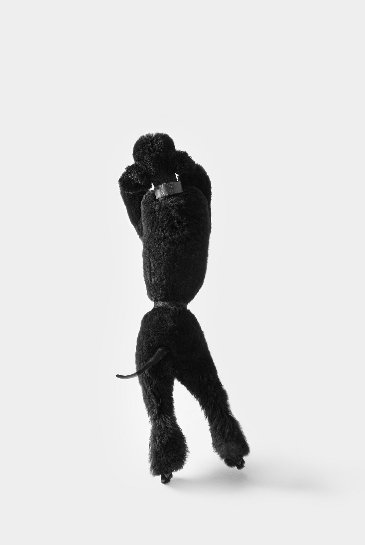 Dansons ! par Carla Gea Perales