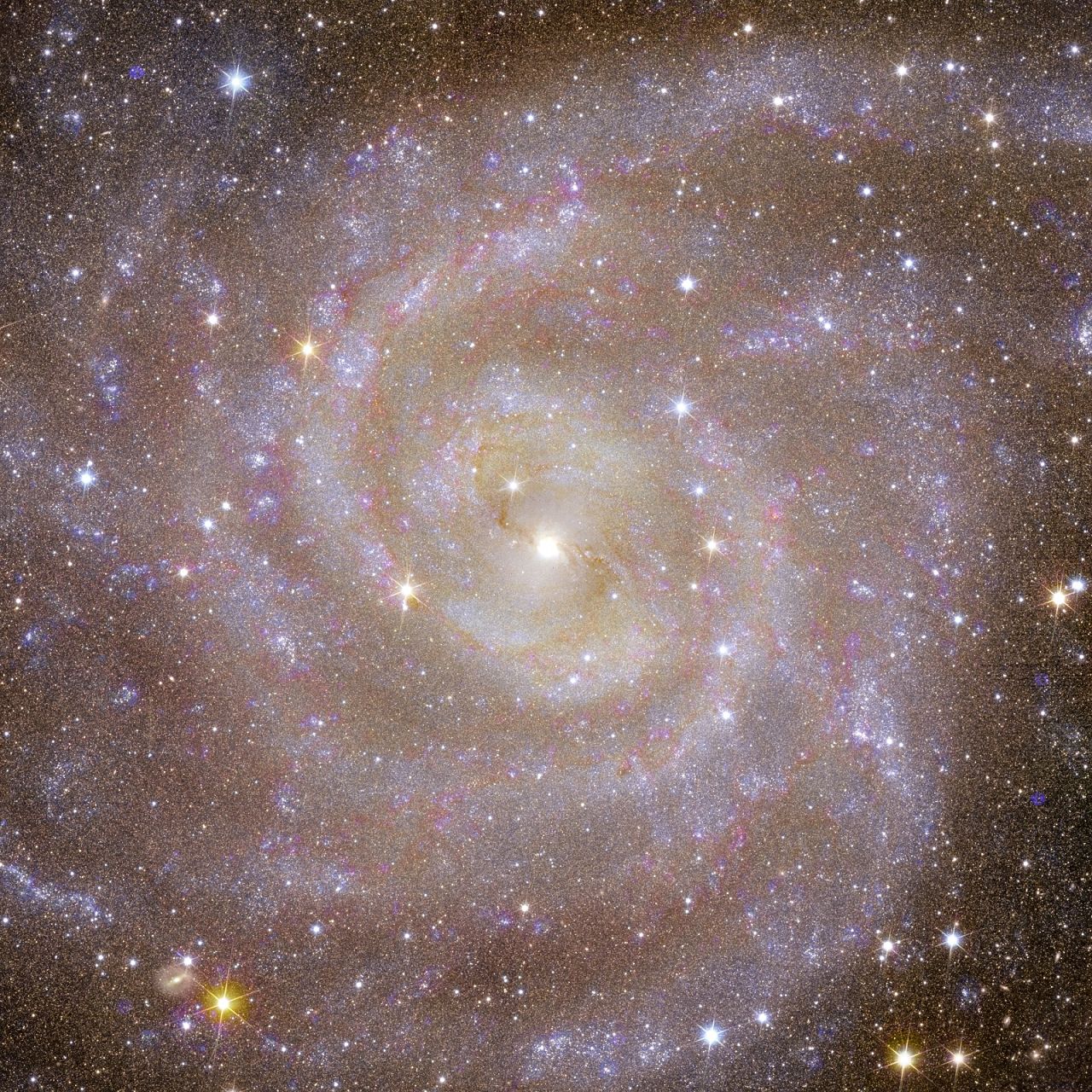 Vue d'Euclide de la galaxie spirale IC 342, connue sous le nom de "Galaxie cachée," qui est similaire à la Voie Lactée.
