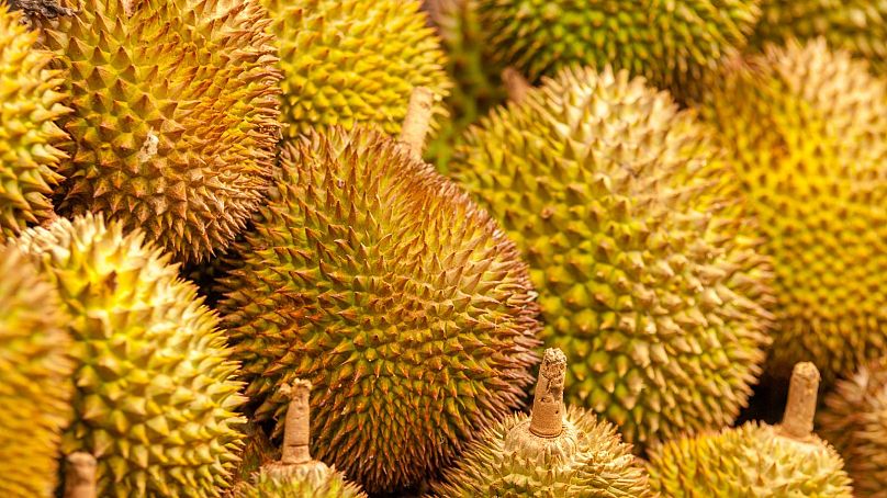 Même si son odeur n’est peut-être pas des plus attrayantes, le durian est considéré comme un mets délicat à ne pas manquer. Les touristes l’aimeraient ou le détesteraient.