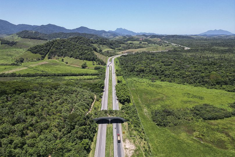 Vue aérienne d'un corridor écologique permettant aux animaux de traverser une autoroute à Silva Jardim, Rio de Janeiro.