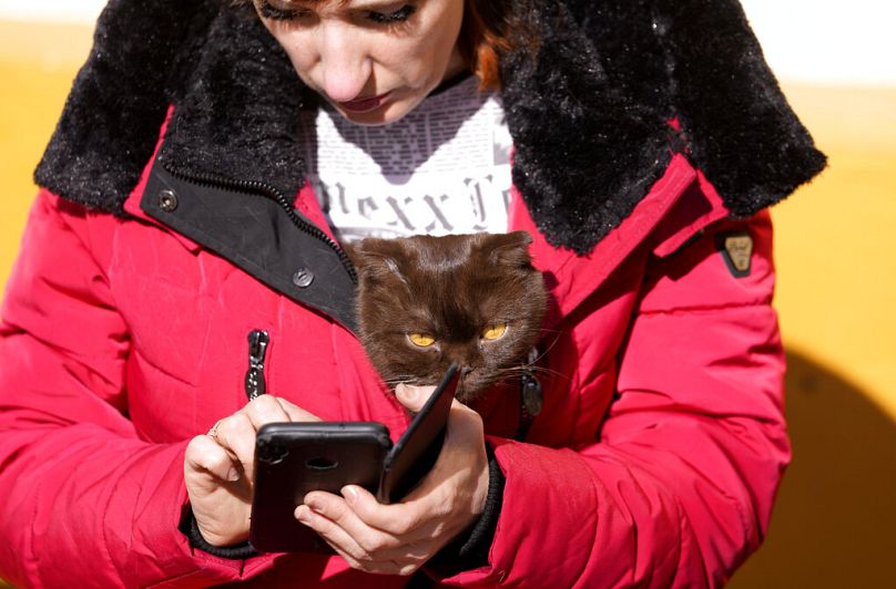 Une femme avec un chat dans sa veste vérifie son téléphone portable pendant qu'elle se repose dans un centre d'accueil pour personnes déplacées fuyant l'Ukraine, à Beregsurany, mars 2022.