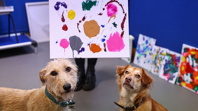 Alba et Rosie, anciens chiens de sauvetage, posent avec un tableau qu'ils ont contribué à créer, au Bristol Animal Rescue Centre à Bristol, dans l'ouest de l'Angleterre, le 23 novembre 2023.