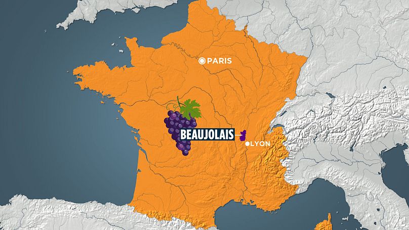 La région du Beaujolais est située juste au-dessus de Lyon, la capitale française de la gastronomie, et abrite le siège d'Euronews.