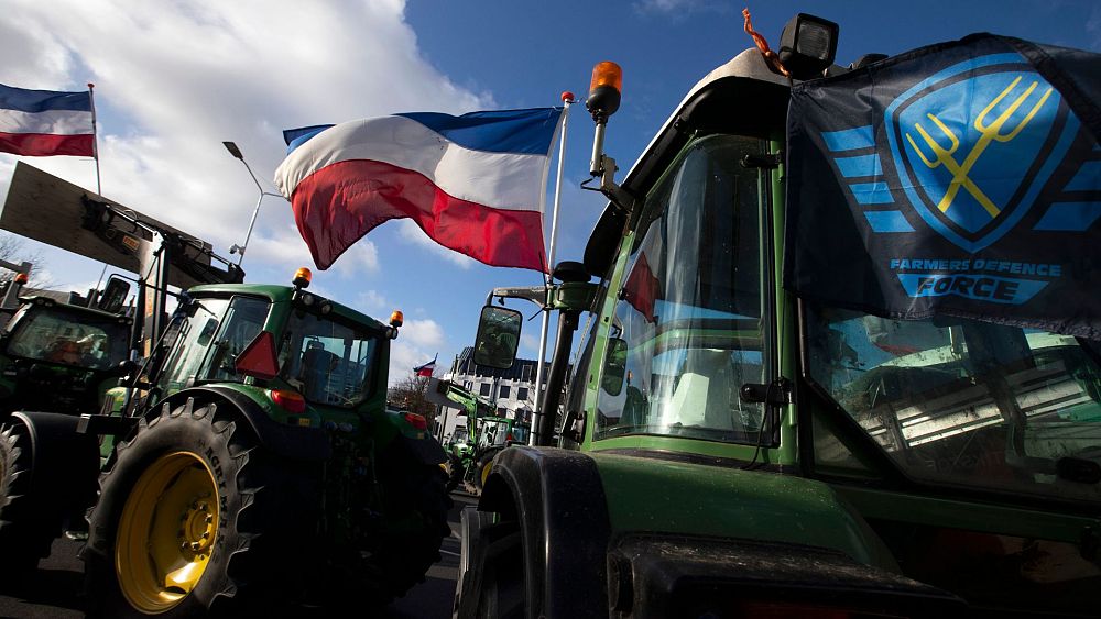 Des centaines d'agriculteurs néerlandais s'engagent à fermer leurs fermes d'élevage dans le cadre d'un nouveau programme