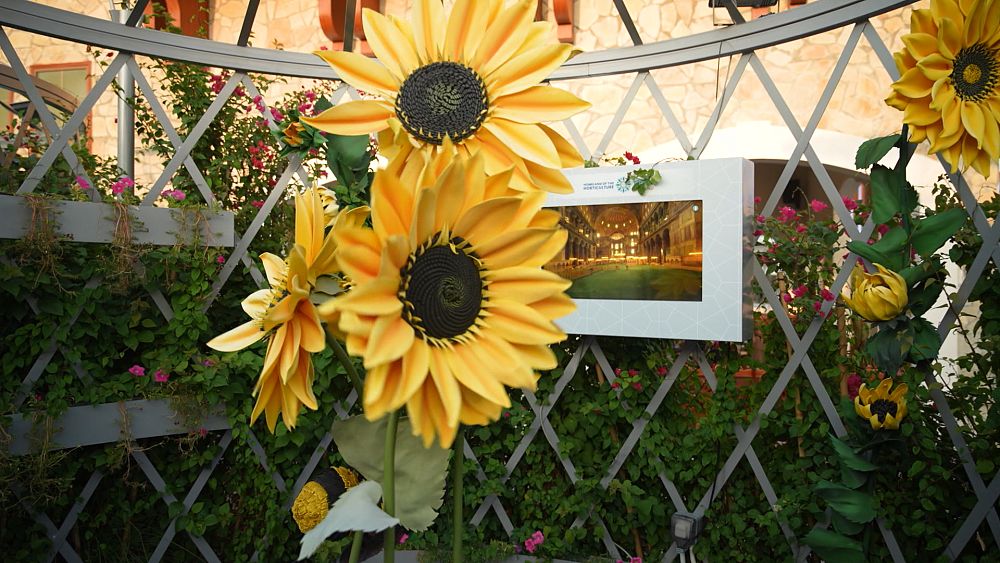 Expo 2023 Doha : présenter des solutions innovantes et durables à la désertification