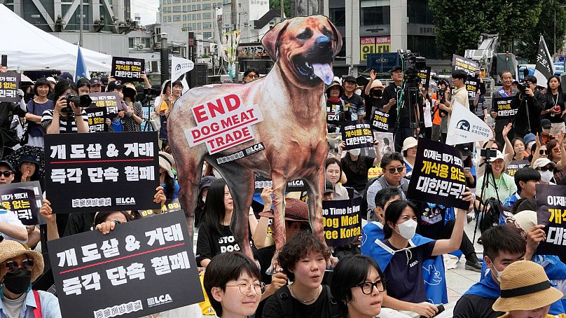 Des militants des droits des animaux organisent un rassemblement contre la culture traditionnelle sud-coréenne consistant à manger de la viande de chien à Séoul, en Corée du Sud, le 8 juillet 2023.