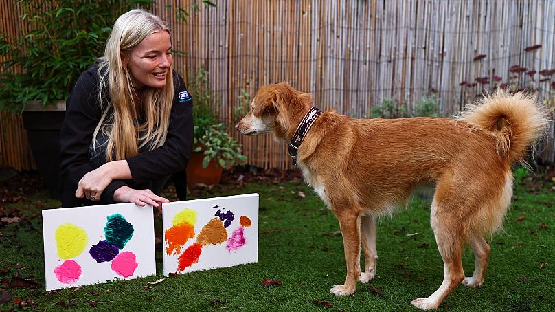 Jodie Bennett, responsable de la communauté et de l'engagement au Bristol Animal Rescue Centre, pose avec son ancien chien de sauvetage Alba.