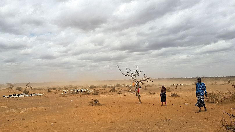 Des nuages ​​de poussière soufflent sur le paysage desséché du district de Danan, dans la région Somali de l'Éthiopie, le 3 septembre 2017.