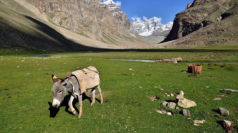 L'été est la meilleure saison pour faire du trekking dans les montagnes du Pamir au Tadjikistan.